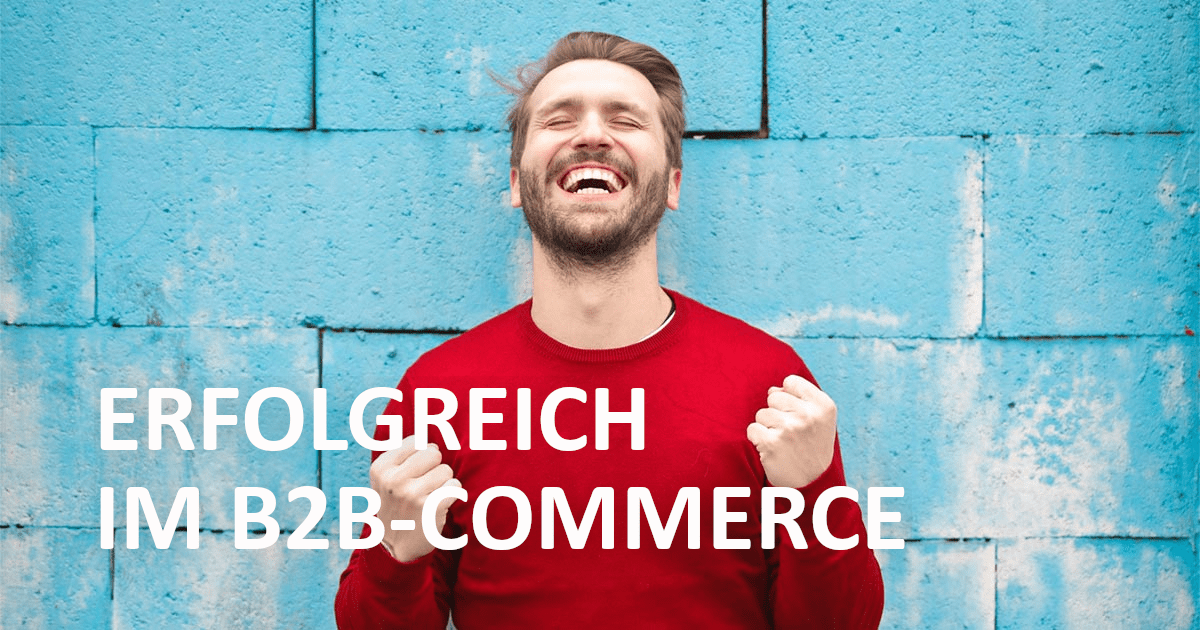 Wie Händler Im Jahr 2020 Einen Erfolgreichen B2B-Online-Shop Erstellen ...